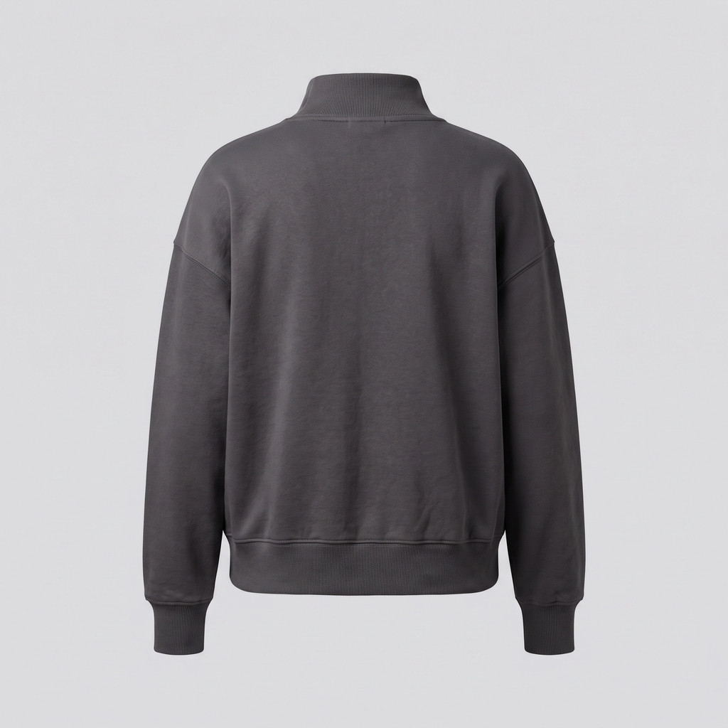 Mock-Neck Sweatshirt, Iron, back view — CARTOON & CARDOON