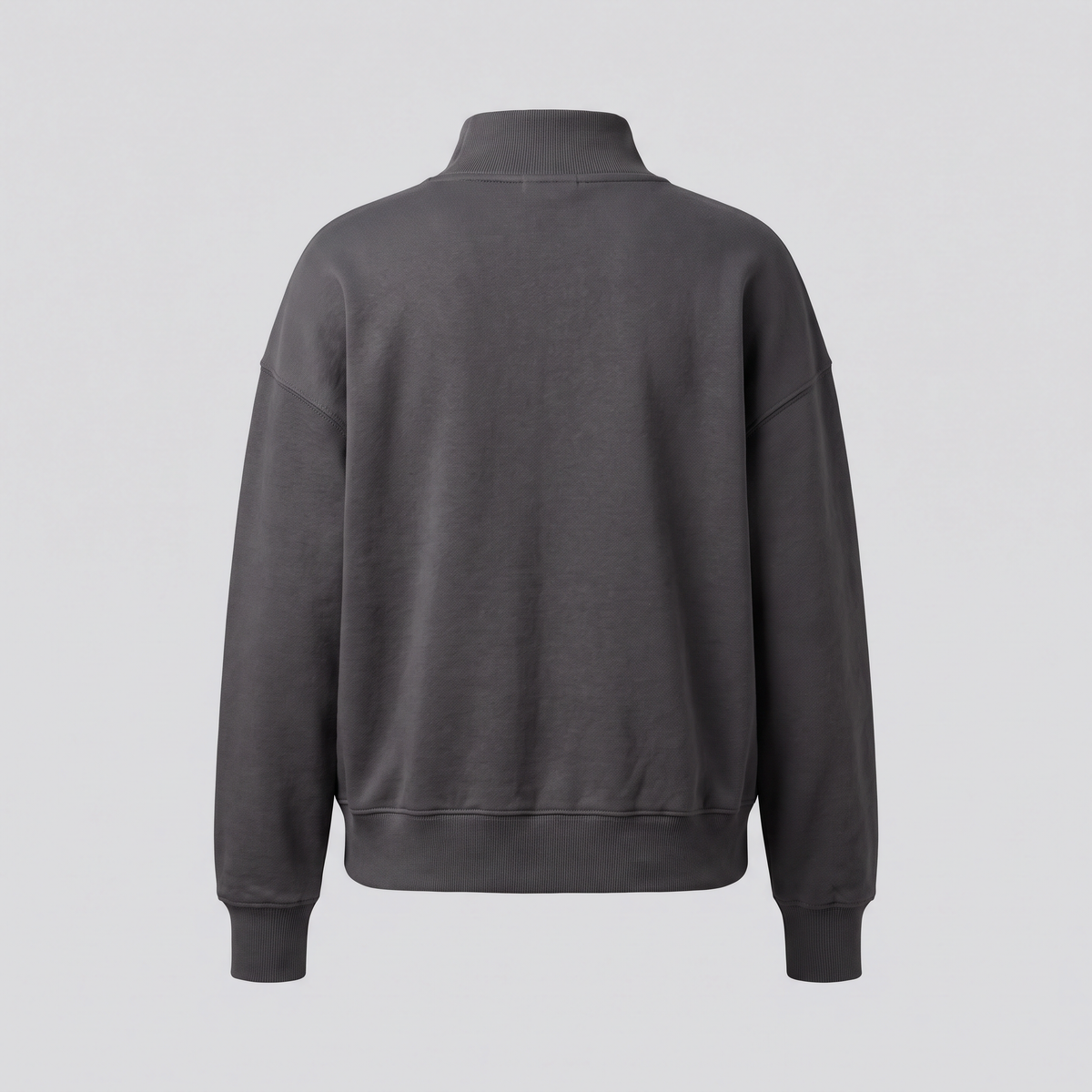 Mock-Neck Sweatshirt, Iron, back view — CARTOON & CARDOON